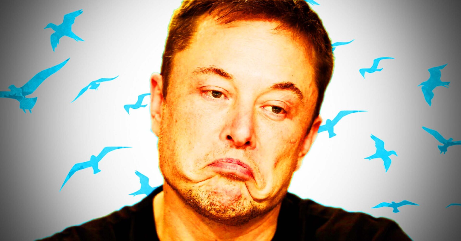 RIP Twitter? Elon Musk FINALLY weighs in on new policy could cost him everything... - Revolver News